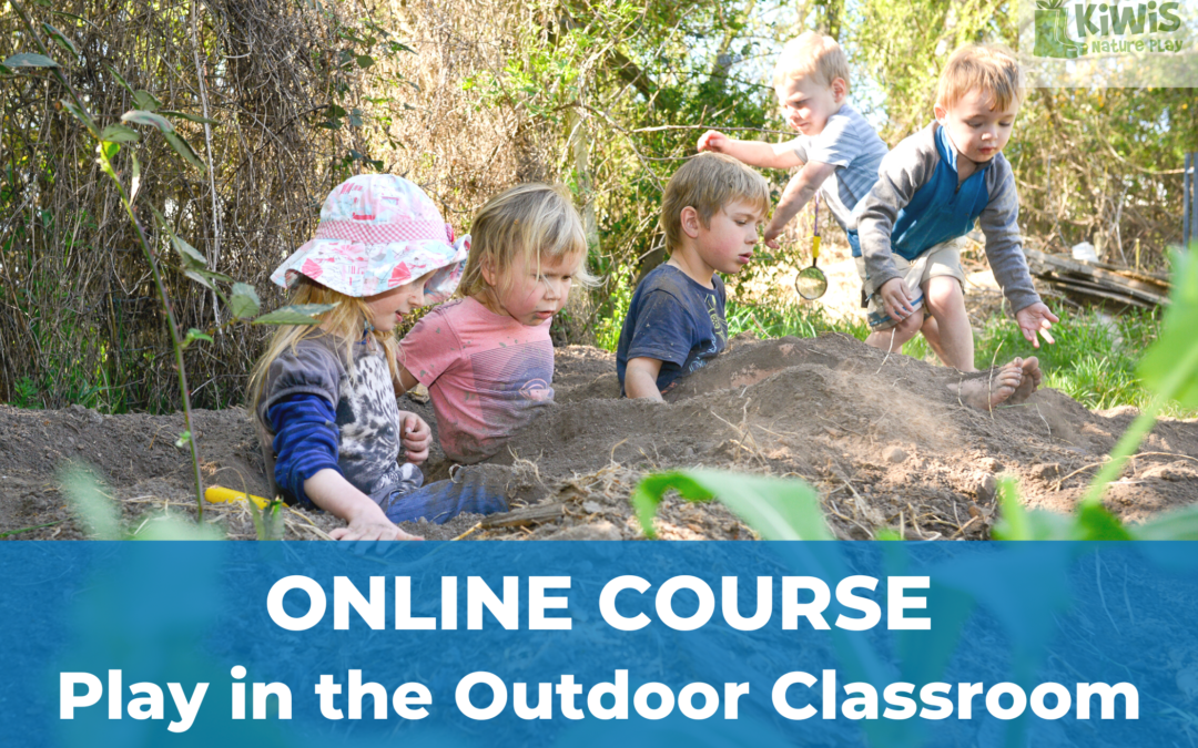 Play in the Outdoor Classroom